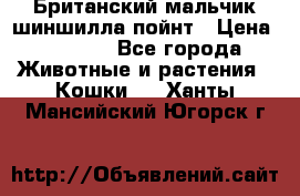 Британский мальчик шиншилла-пойнт › Цена ­ 5 000 - Все города Животные и растения » Кошки   . Ханты-Мансийский,Югорск г.